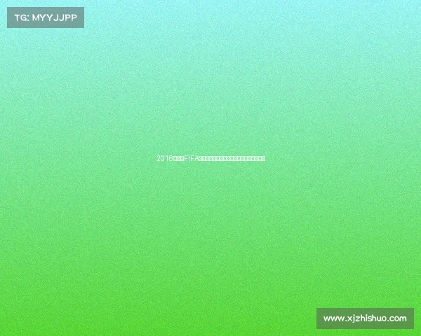 2018世界杯FIFA护旗手回顾与精彩瞬间全记录幕后故事解析 2018世界杯FIFA护旗手回顾与精彩瞬间全记录幕后故事解析